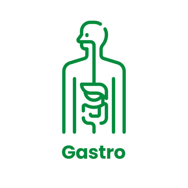 gastro1