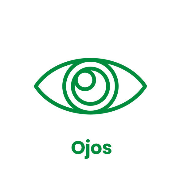 ojos1