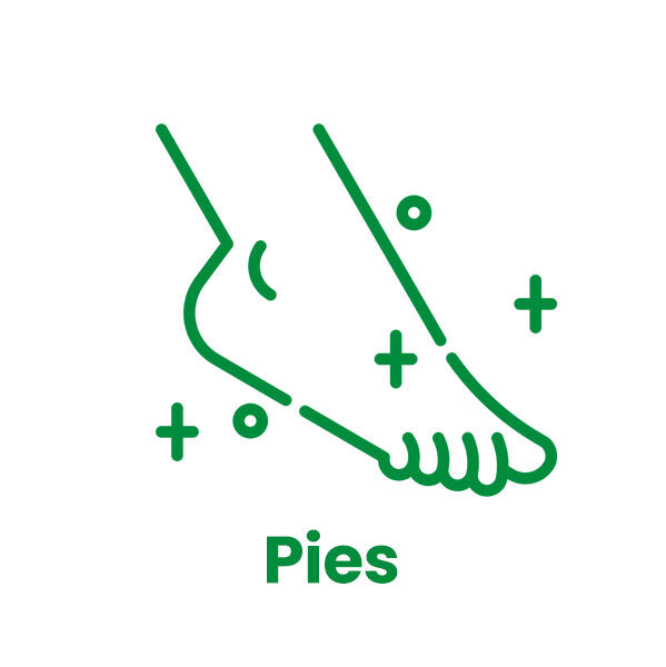 pies1